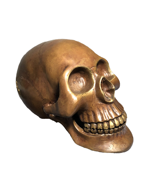 Calavera Bronce VIII