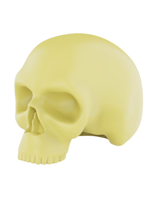 Calavera Piel Sintetica