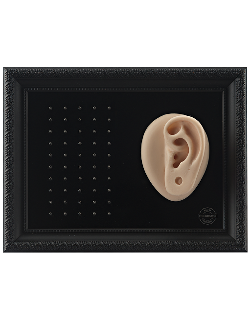 Marco Expositor Piercing VI