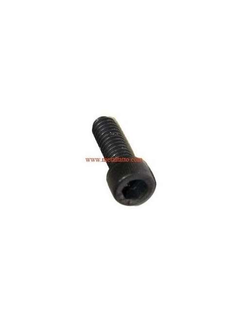 Tornillo Chasis